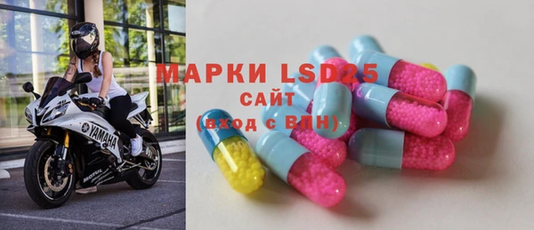 ешки Новодвинск