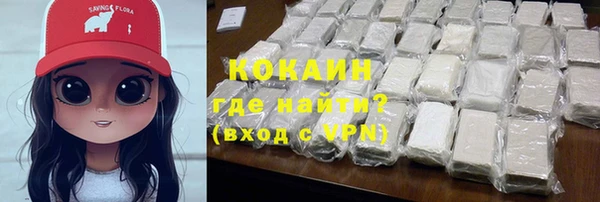 ешки Новодвинск
