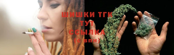 ешки Новодвинск