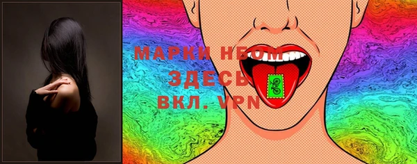 ешки Новодвинск