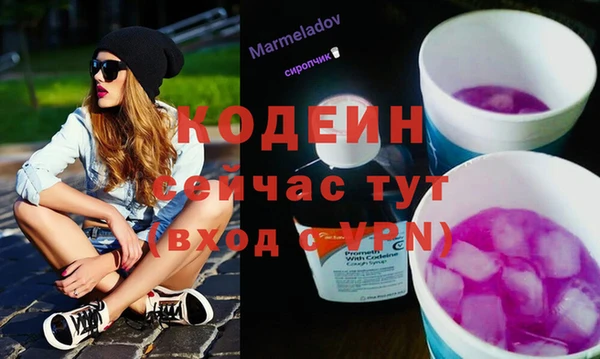 ешки Новодвинск
