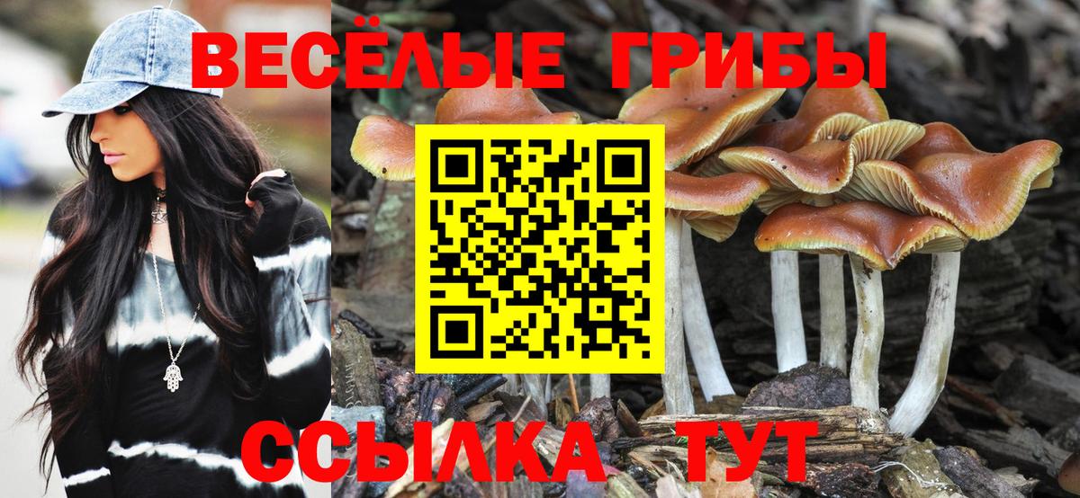 купить наркотик  Галлюциногенные грибы Psilocybine cubensis  Шумерля  Вход с VPN  Галлюциногенные грибы GOLDEN TEACHER 