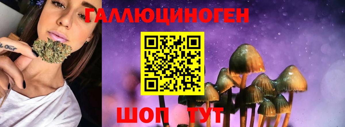 ГАШ Шумерля