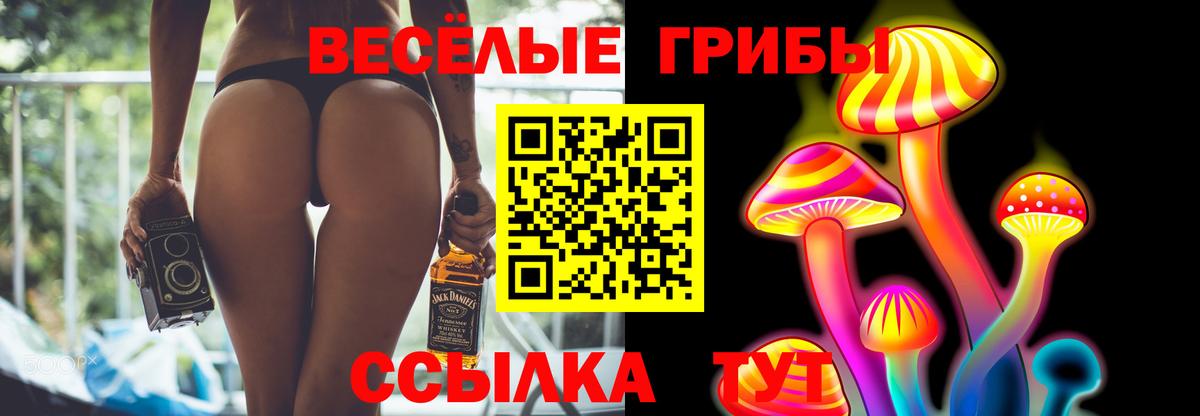 Псилоцибиновые грибы мицелий Шумерля