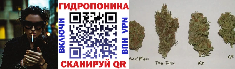Шишки марихуана VHQ  Шумерля 